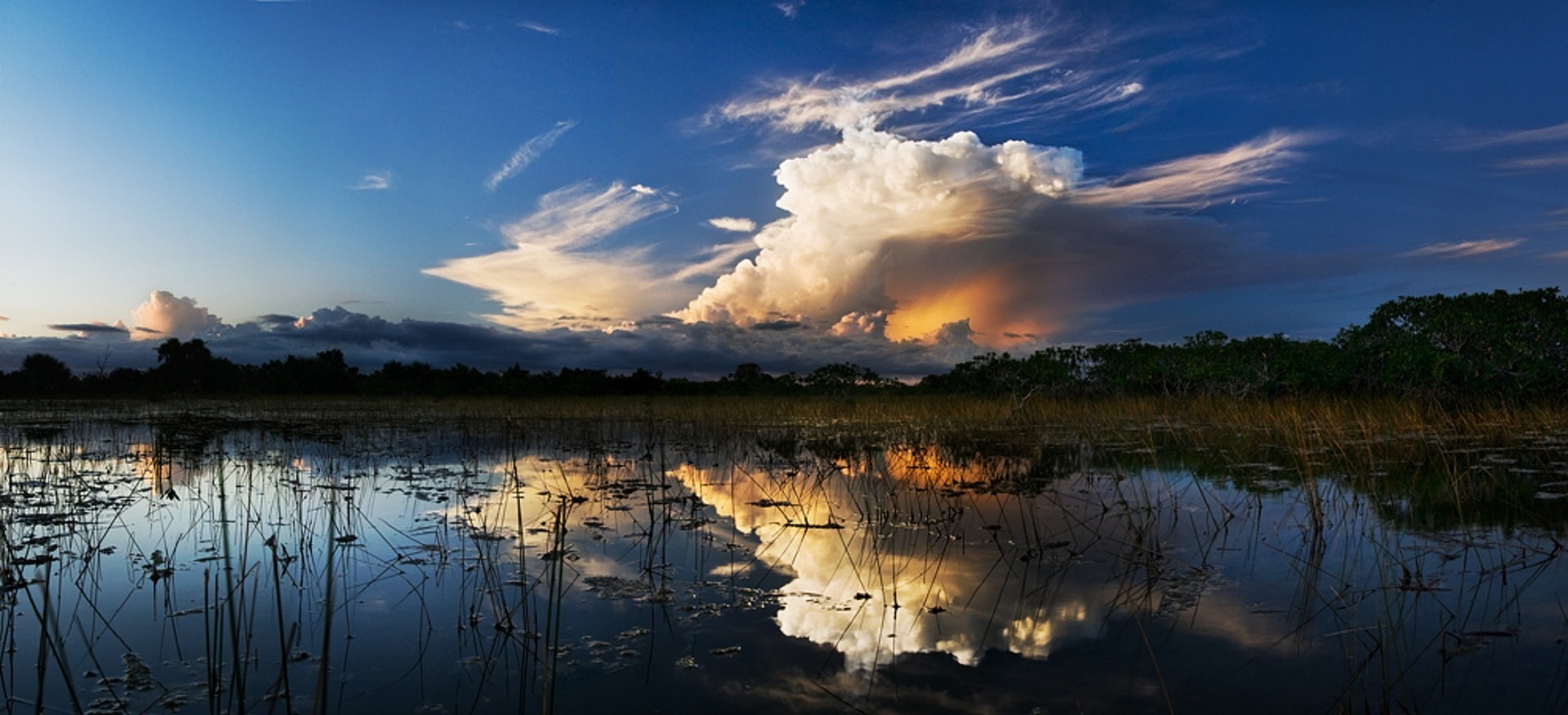 Florida Ecosystems Threatened by Climate Warming