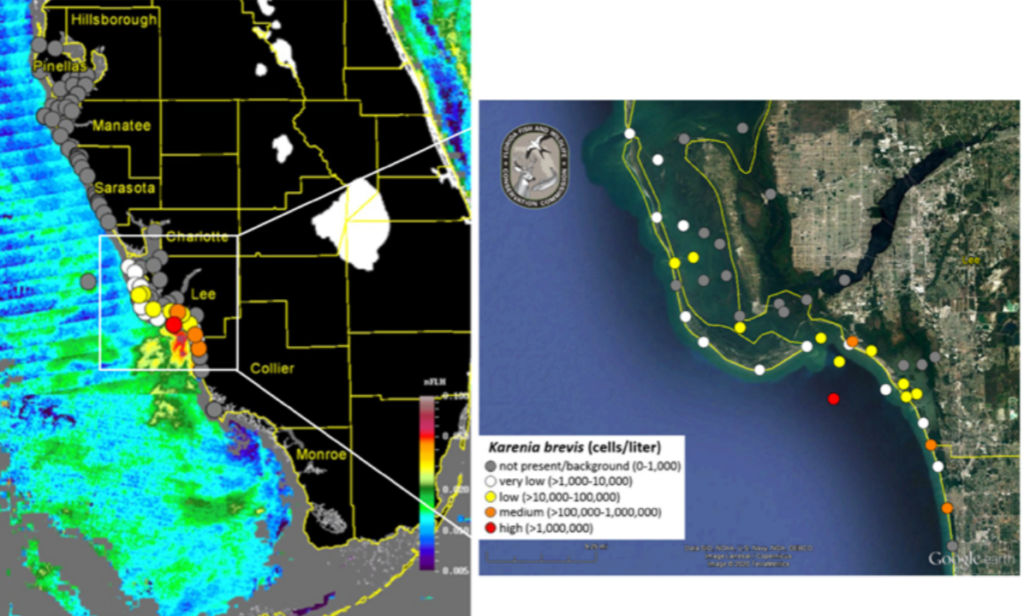 red tide southwest florida 