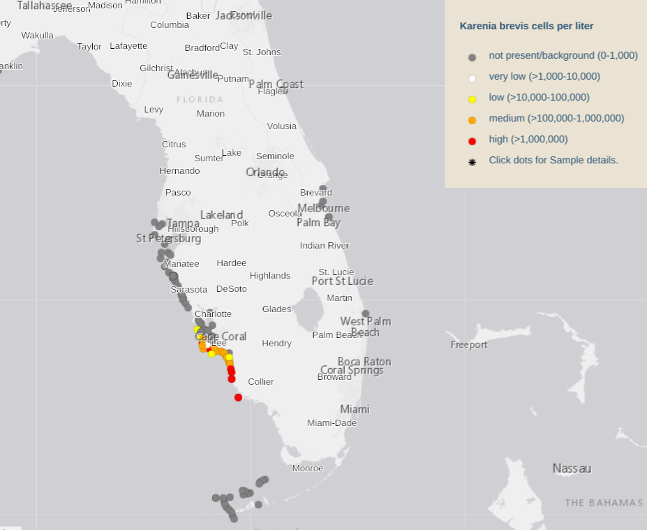 red tide January 2021