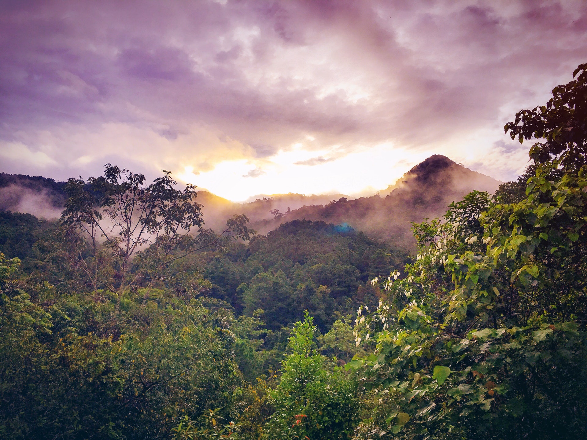 The Biosphere and the Global Climate Economy