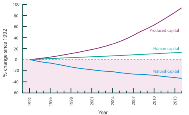 graph showing decline in natural capital