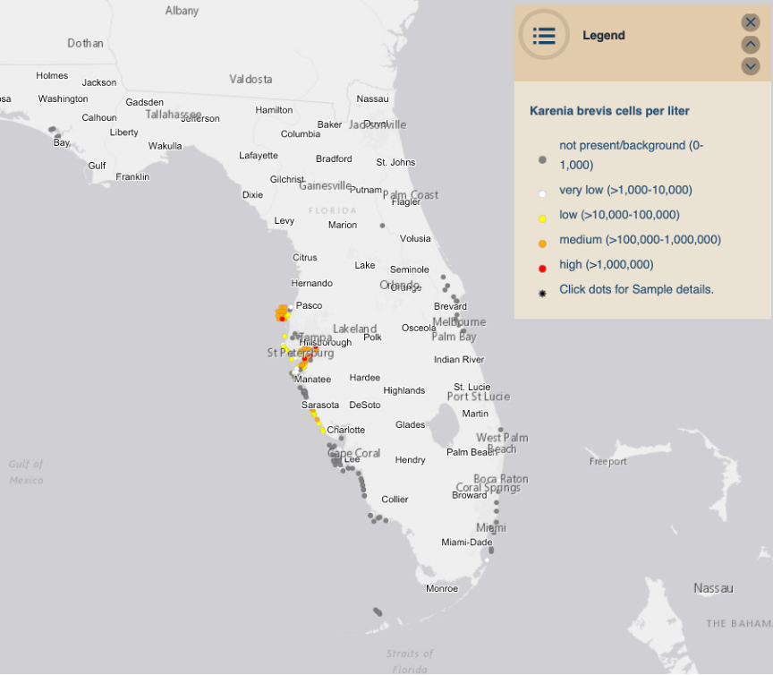 Florida red tide - July 4, 2021