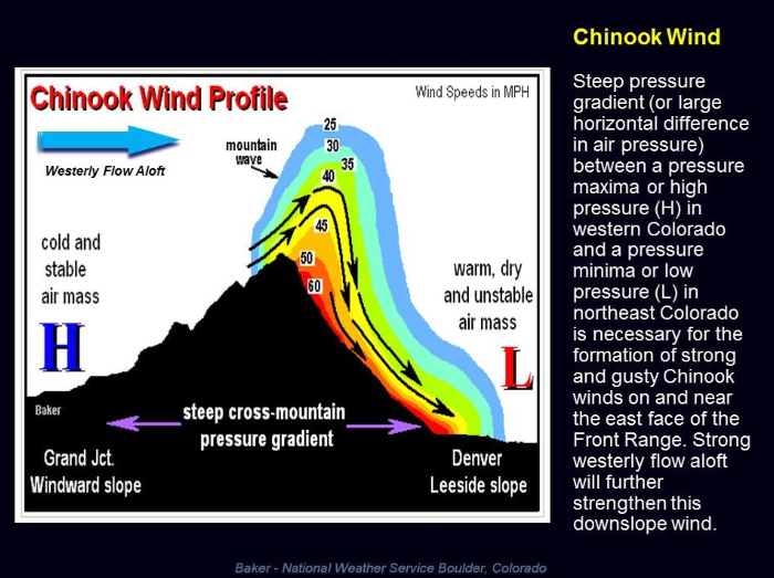 chinook diagram