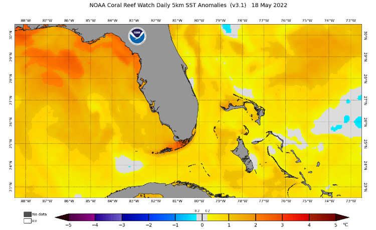 Florida region SSTs May 18 2022