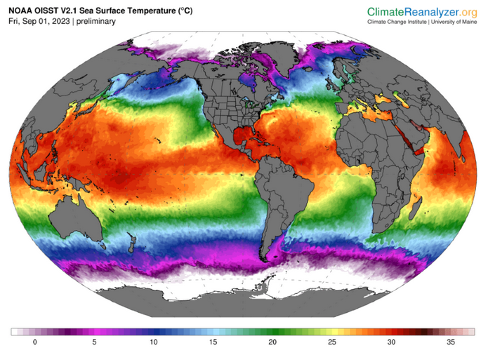 global SST map Sept. 1, 2023