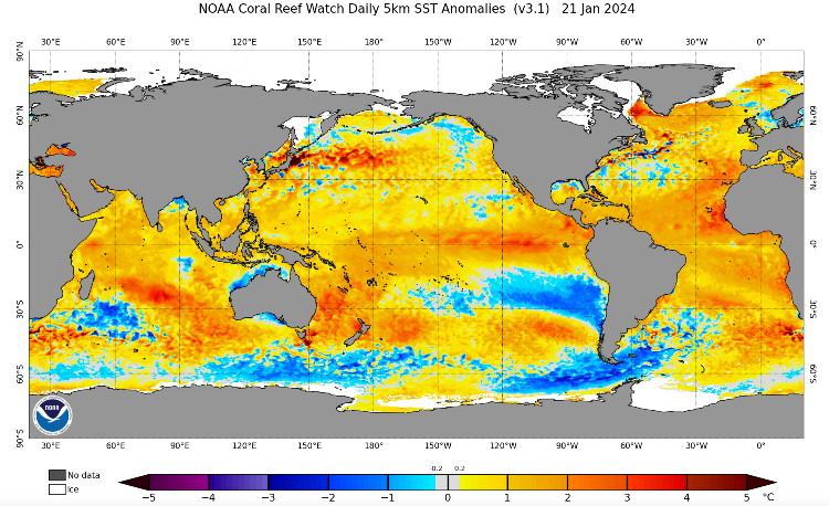 global SST anomalies