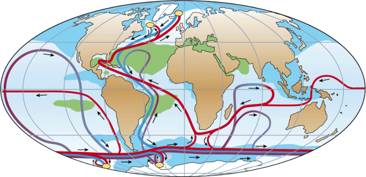 Thermohaline Circulation