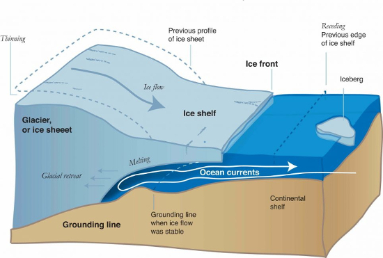 Melting at the grounding line