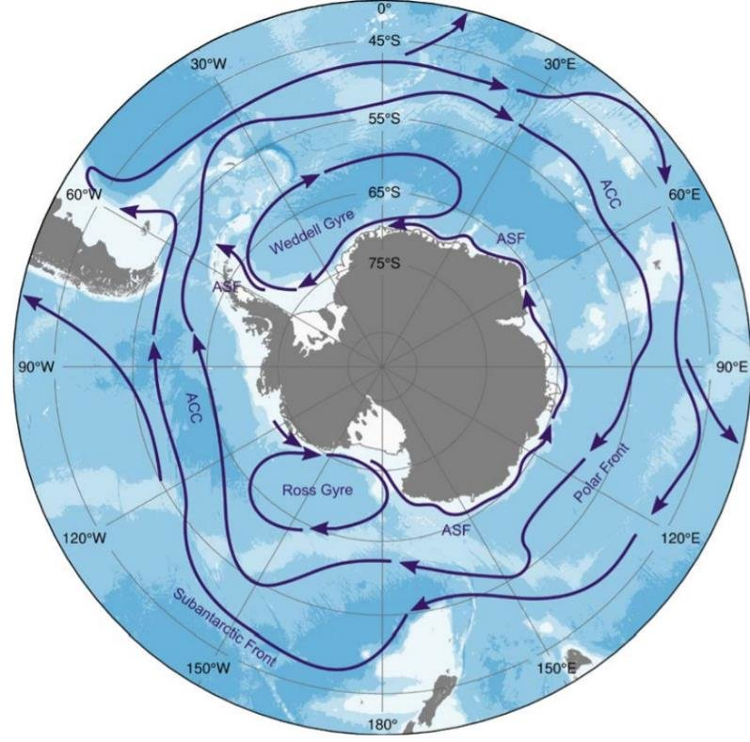 Antarctic Circumpolar Current - map view