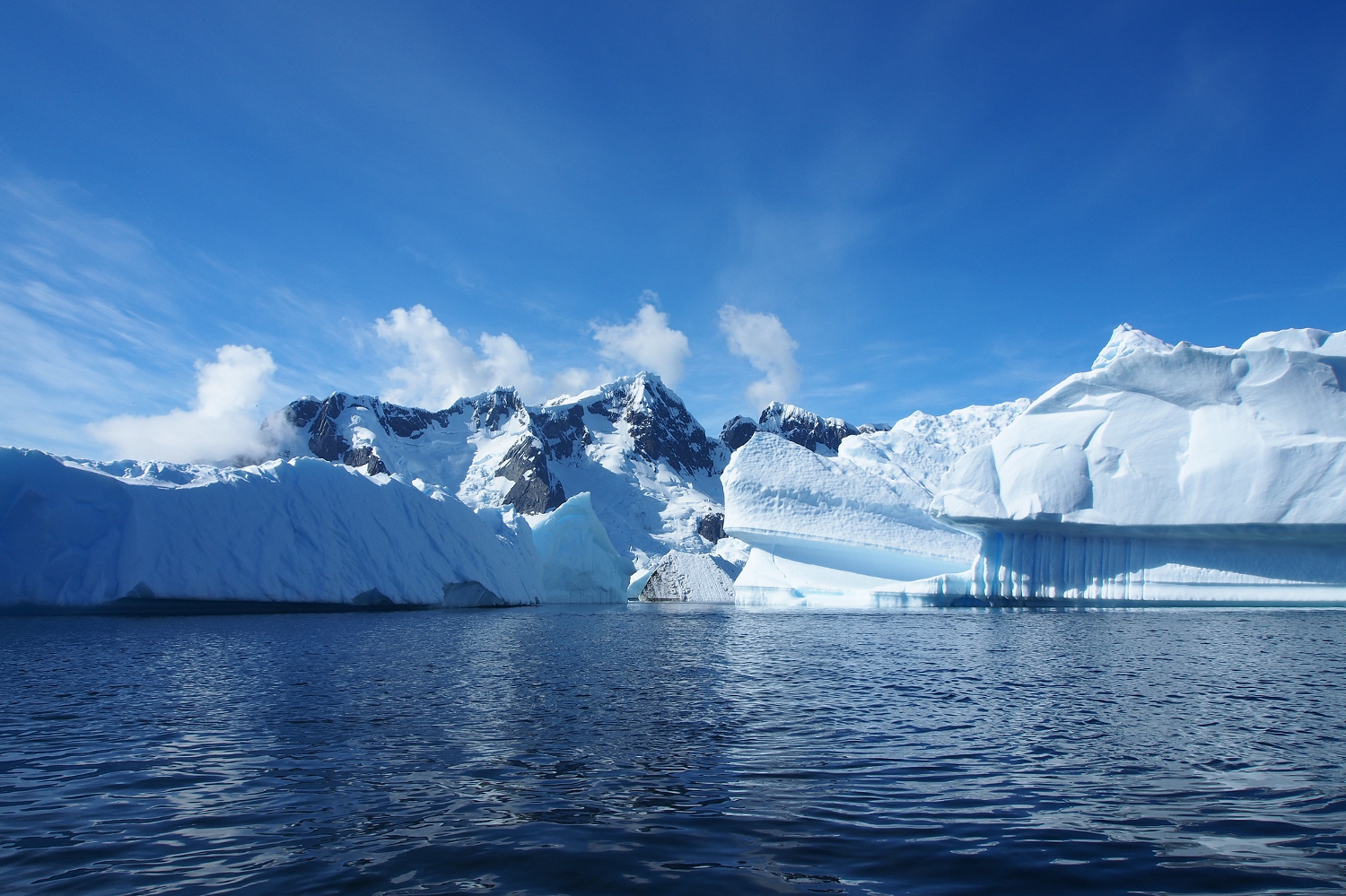 What’s Going On In The Antarctic? 2024 Update