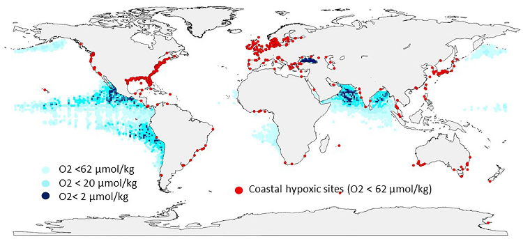 Oxygen Minimum Zones