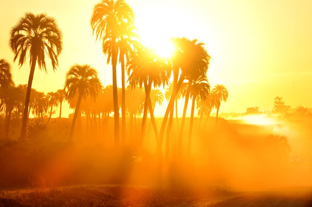 Tickets now on sale for Florida Climate Conference, focusing on Climate and Human Health
