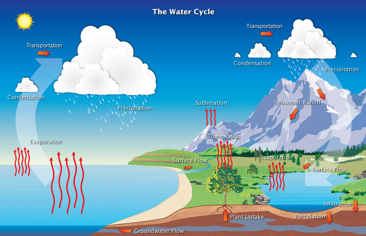 water cycle graphic