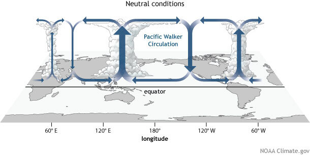 Walker Circulation - global scale