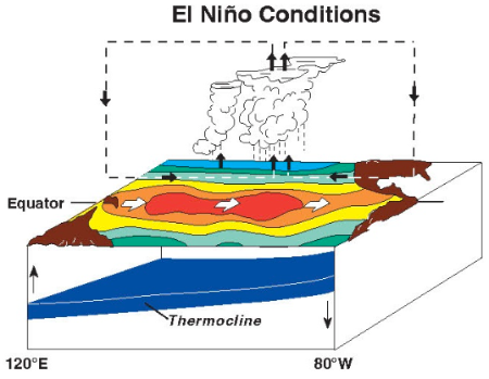 El Nino conditions in a cross section of the Pacific 