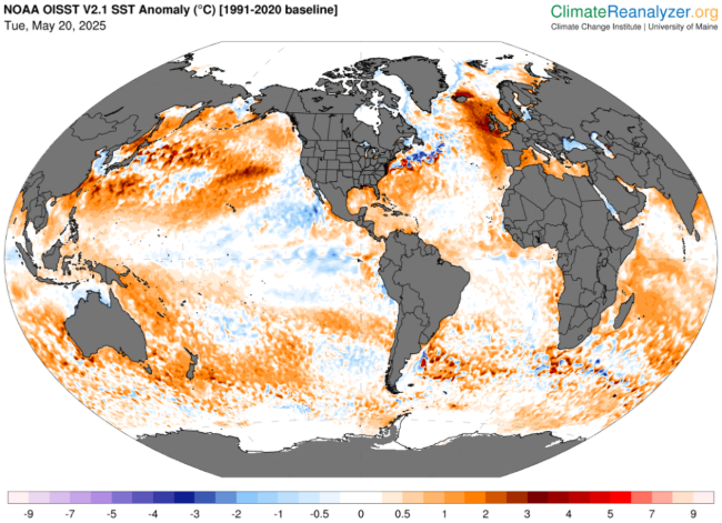 May 20, 2025 SST anomalies