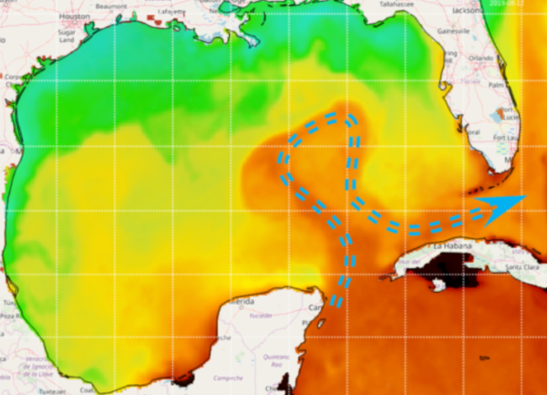 Florida Loop Current map