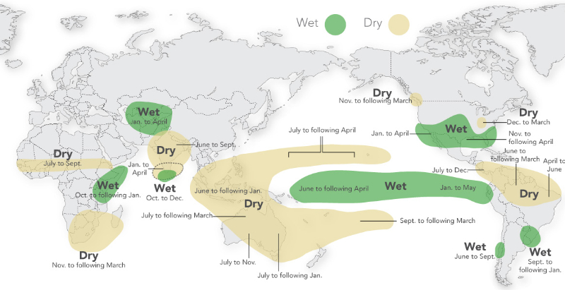 Global effects of early El nino