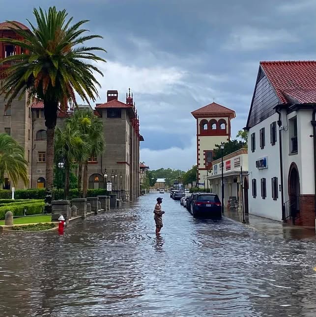 No Storm, Still Underwater, The Bunting Brief, Episode 12