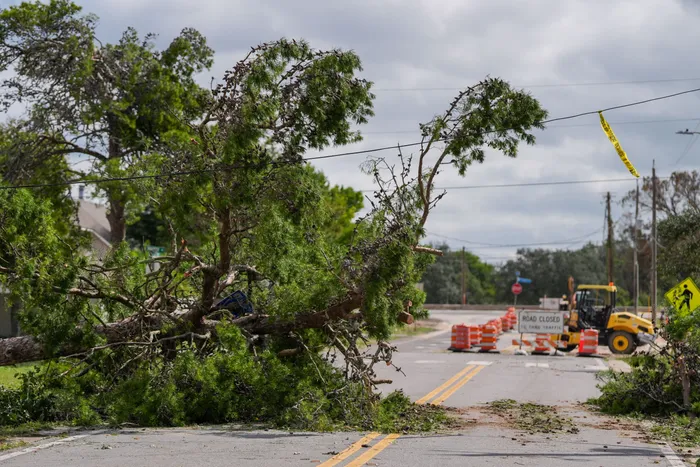 From Climate Risk to Climate Resilience — The Bunting Brief, Episode 8